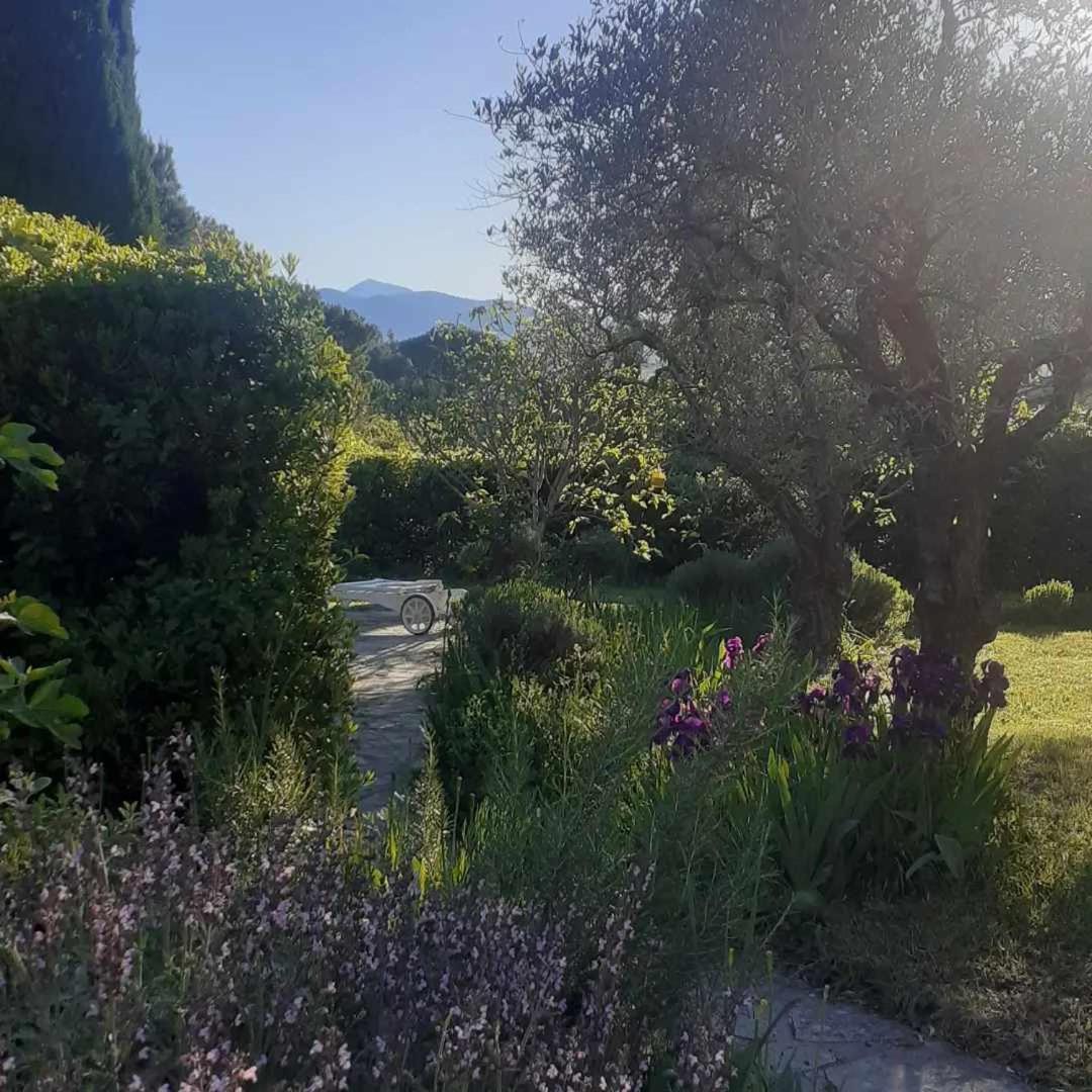 Les Verveines De Vaison Экстерьер фото